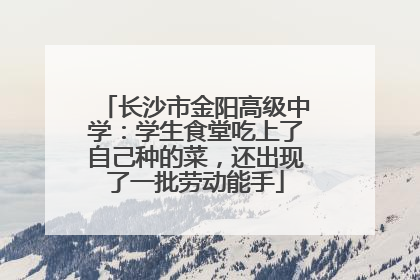 长沙市金阳高级中学：学生食堂吃上了自己种的菜，还出现了一批劳动能手