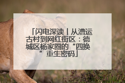 闪电深读丨从漕运古村到网红街区：德城区杨家圈的“四换”重生密码