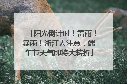 阳光倒计时！雷雨！暴雨！浙江人注意，端午节天气即将大转折