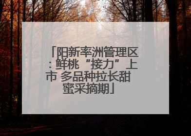 阳新率洲管理区：鲜桃“接力”上市 多品种拉长甜蜜采摘期