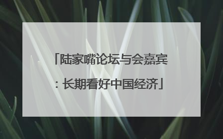 陆家嘴论坛与会嘉宾：长期看好中国经济