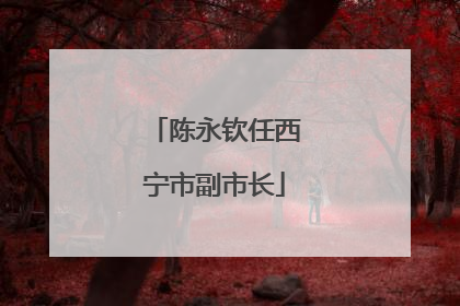 陈永钦任西宁市副市长