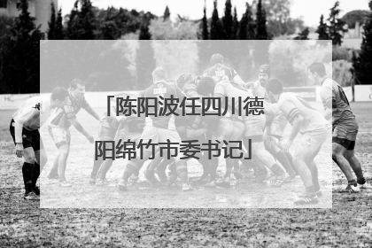 陈阳波任四川德阳绵竹市委书记