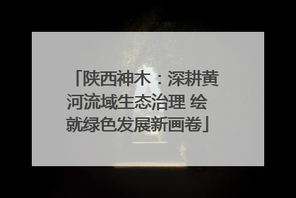 陕西神木：深耕黄河流域生态治理 绘就绿色发展新画卷