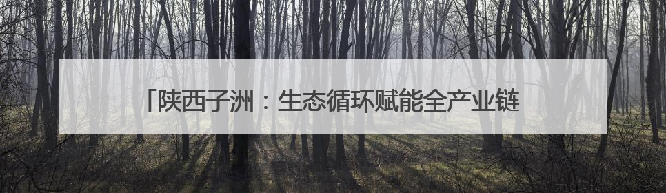 陕西子洲：生态循环赋能全产业链 小理河合作社走出联农带农新路径
