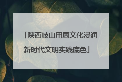 陕西岐山用周文化浸润新时代文明实践底色