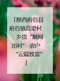 陕西府谷县府谷镇高梁村：乡货“触网出村” 农户“云端致富”