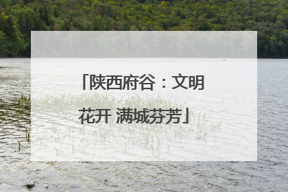 陕西府谷：文明花开 满城芬芳