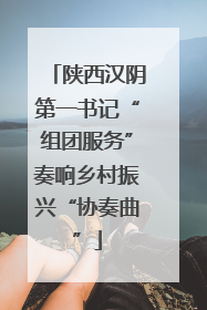 陕西汉阴第一书记“组团服务”奏响乡村振兴“协奏曲”