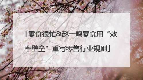 零食很忙&赵一鸣零食用“效率壁垒”重写零售行业规则