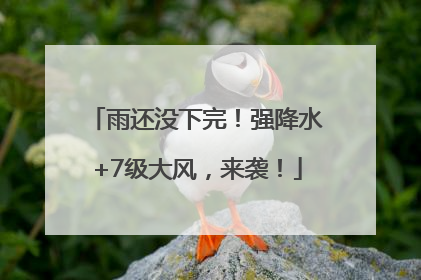 雨还没下完！强降水+7级大风，来袭！