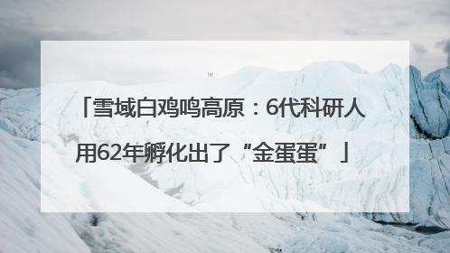 雪域白鸡鸣高原：6代科研人用62年孵化出了“金蛋蛋”