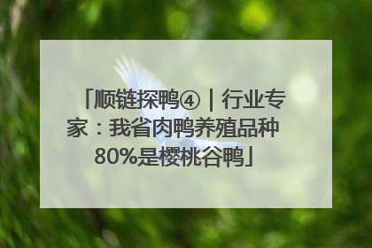 顺链探鸭④｜行业专家：我省肉鸭养殖品种80%是樱桃谷鸭
