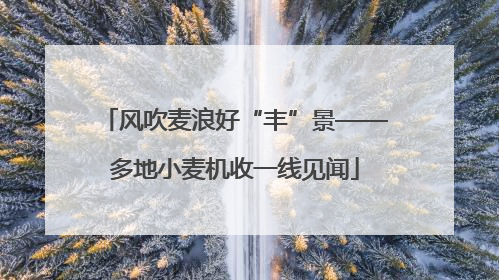 风吹麦浪好“丰”景——多地小麦机收一线见闻