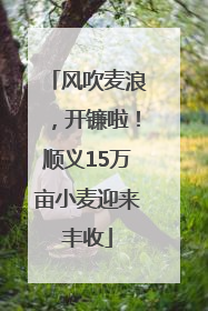 风吹麦浪，开镰啦！顺义15万亩小麦迎来丰收