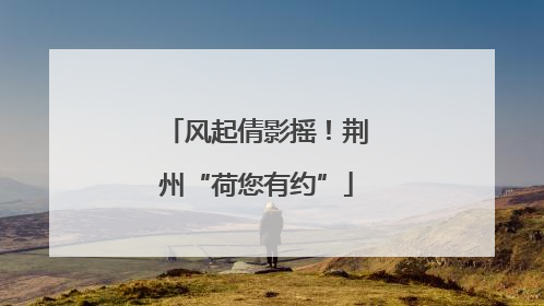 风起倩影摇！荆州“荷您有约”