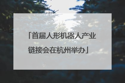 首届人形机器人产业链接会在杭州举办