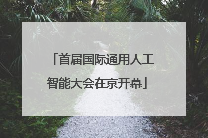 首届国际通用人工智能大会在京开幕