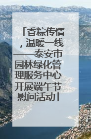 香粽传情，温暖一线——泰安市园林绿化管理服务中心开展端午节慰问活动