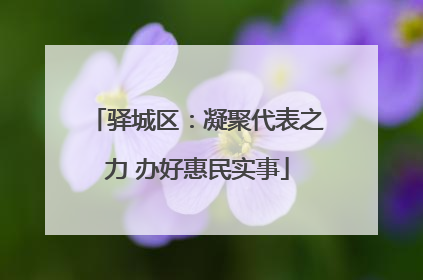 驿城区：凝聚代表之力 办好惠民实事