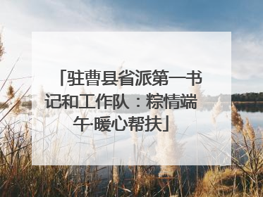 驻曹县省派第一书记和工作队：粽情端午·暖心帮扶