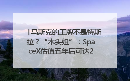 马斯克的王牌不是特斯拉？“木头姐”：SpaceX估值五年后可达2.5万亿美元！