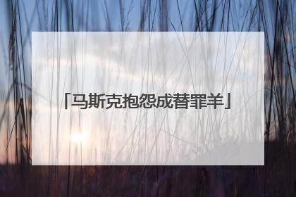 马斯克抱怨成替罪羊