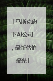 马斯克旗下AI公司，最新估值曝光