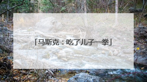 马斯克：吃了儿子一拳