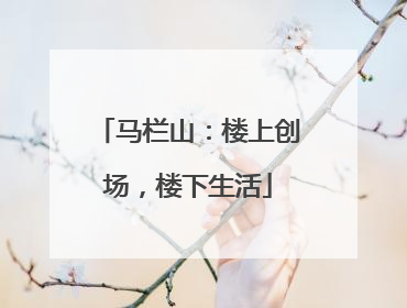 马栏山：楼上创场，楼下生活