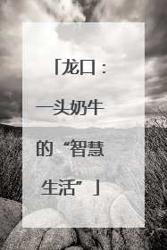 龙口：一头奶牛的“智慧生活”