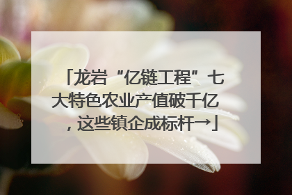 龙岩“亿链工程”七大特色农业产值破千亿，这些镇企成标杆→