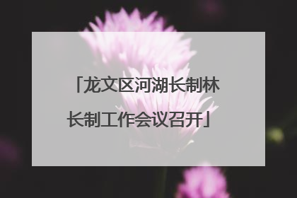 龙文区河湖长制林长制工作会议召开