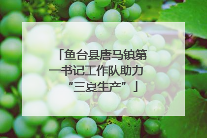 鱼台县唐马镇第一书记工作队助力“三夏生产”