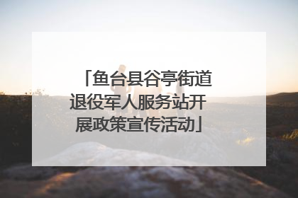 鱼台县谷亭街道退役军人服务站开展政策宣传活动