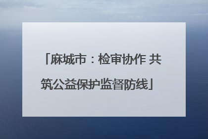 麻城市：检审协作 共筑公益保护监督防线