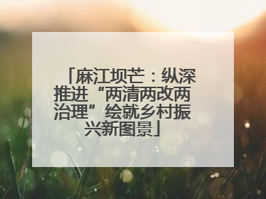 麻江坝芒：纵深推进“两清两改两治理”绘就乡村振兴新图景