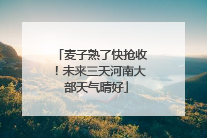 麦子熟了快抢收！未来三天河南大部天气晴好