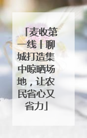 麦收第一线丨聊城打造集中晾晒场地，让农民省心又省力