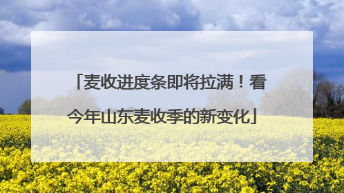 麦收进度条即将拉满！看今年山东麦收季的新变化