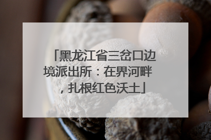黑龙江省三岔口边境派出所：在界河畔，扎根红色沃土