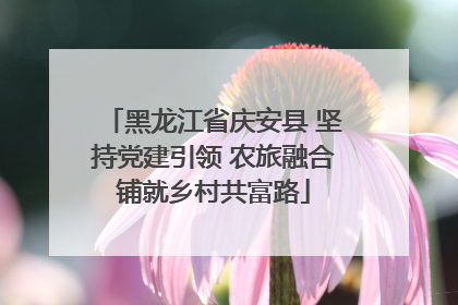 黑龙江省庆安县 坚持党建引领 农旅融合铺就乡村共富路