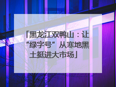 黑龙江双鸭山：让“绿字号”从寒地黑土挺进大市场