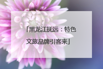 黑龙江抚远：特色文旅品牌引客来