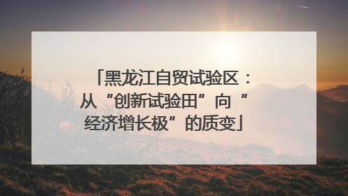 黑龙江自贸试验区：从“创新试验田”向“经济增长极”的质变