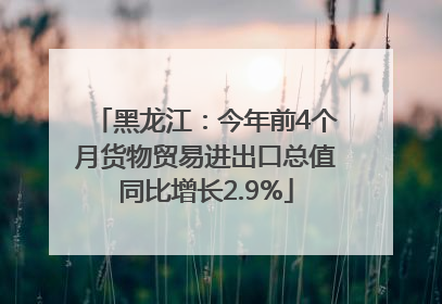 黑龙江：今年前4个月货物贸易进出口总值同比增长2.9%