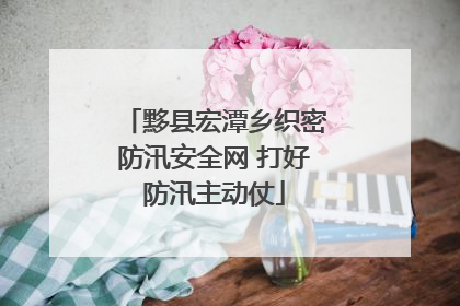 黟县宏潭乡织密防汛安全网 打好防汛主动仗