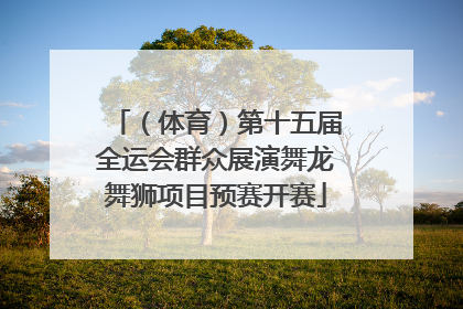 （体育）第十五届全运会群众展演舞龙舞狮项目预赛开赛