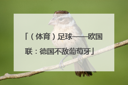 （体育）足球——欧国联：德国不敌葡萄牙