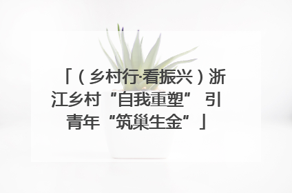 （乡村行·看振兴）浙江乡村“自我重塑” 引青年“筑巢生金”